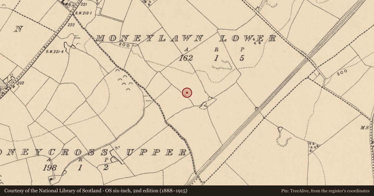 Ordnance Survey six-inch map, 2nd edition (1888–1915) covering the location of Burnt pit, Moneylawn Lower, County Wexford, with a pin at the register's coordinates