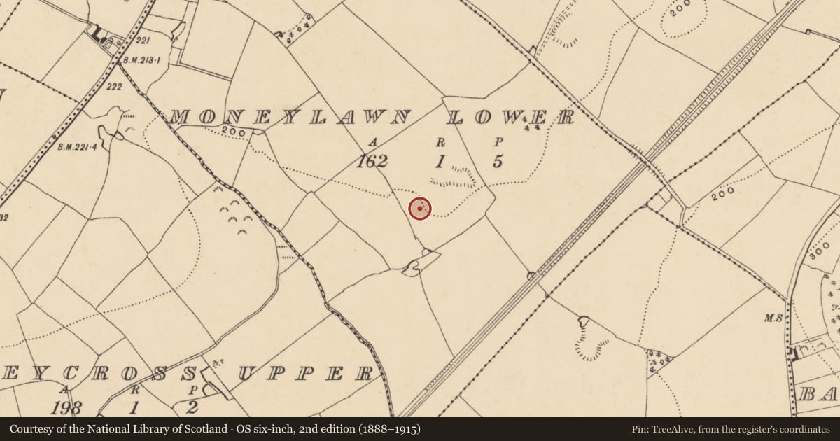 Ordnance Survey six-inch map, 2nd edition (1888–1915) covering the location of Excavation - miscellaneous, Moneylawn Lower, County Wexford, with a pin at the register's coordinates