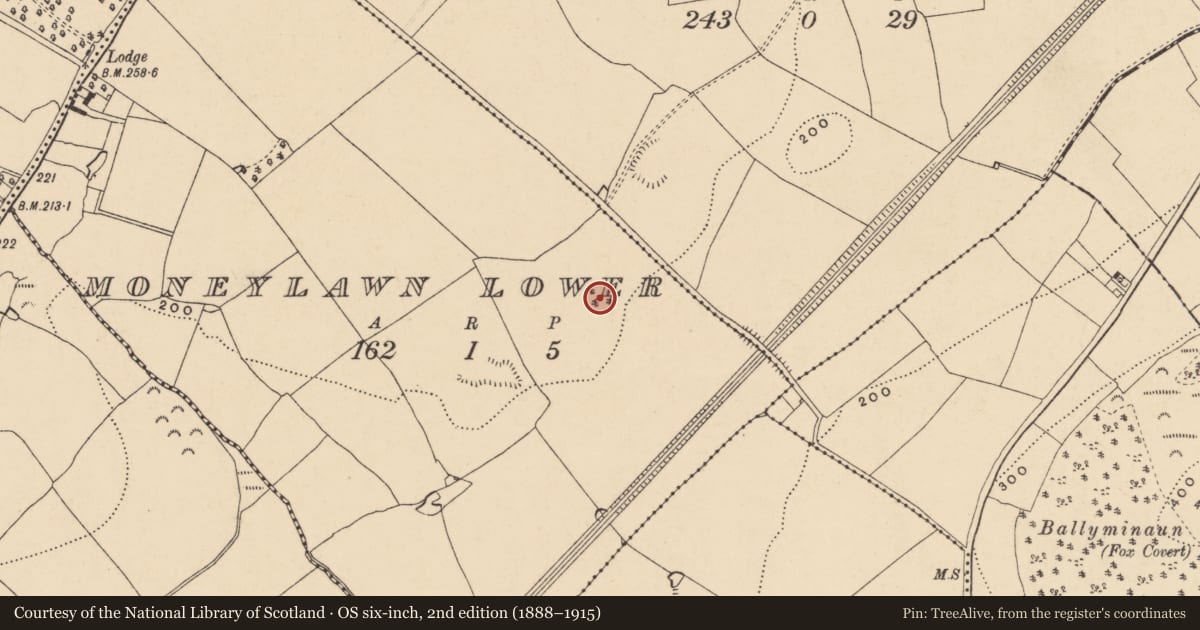Ordnance Survey six-inch map, 2nd edition (1888–1915) covering the location of Concentric enclosure, Moneylawn Lower, County Wexford, with a pin at the register's coordinates