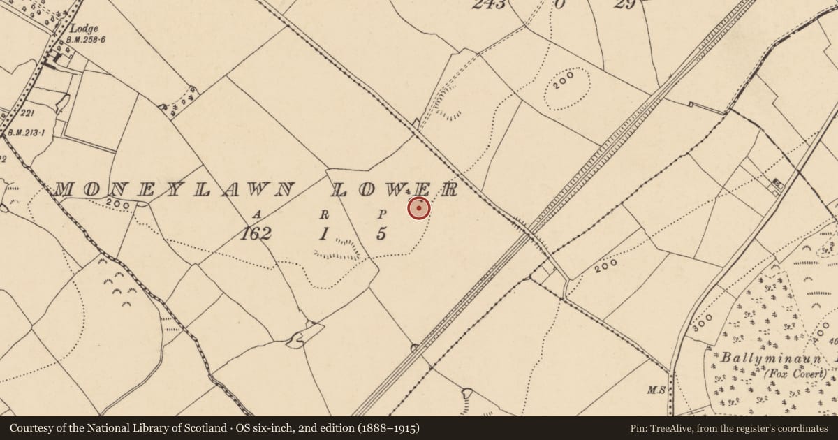 Ordnance Survey six-inch map, 2nd edition (1888–1915) covering the location of House - early medieval, Moneylawn Lower, County Wexford, with a pin at the register's coordinates