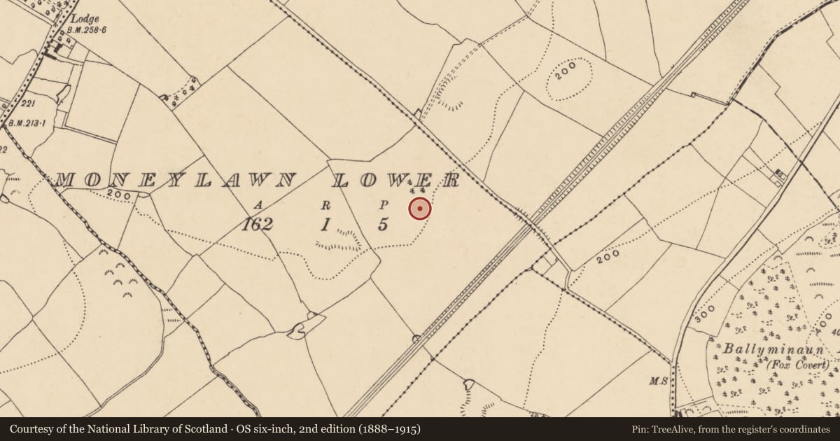 Ordnance Survey six-inch map, 2nd edition (1888–1915) covering the location of House - early medieval, Moneylawn Lower, County Wexford, with a pin at the register's coordinates