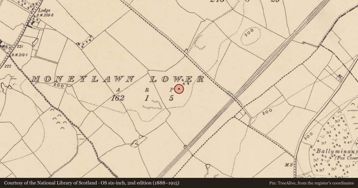 Ordnance Survey six-inch map, 2nd edition (1888–1915) covering the location of Excavation - miscellaneous, Moneylawn Lower, County Wexford, with a pin at the register's coordinates