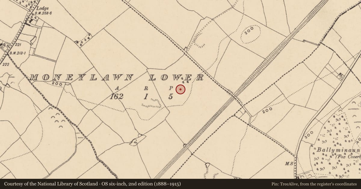 Ordnance Survey six-inch map, 2nd edition (1888–1915) covering the location of Kiln, Moneylawn Lower, County Wexford, with a pin at the register's coordinates