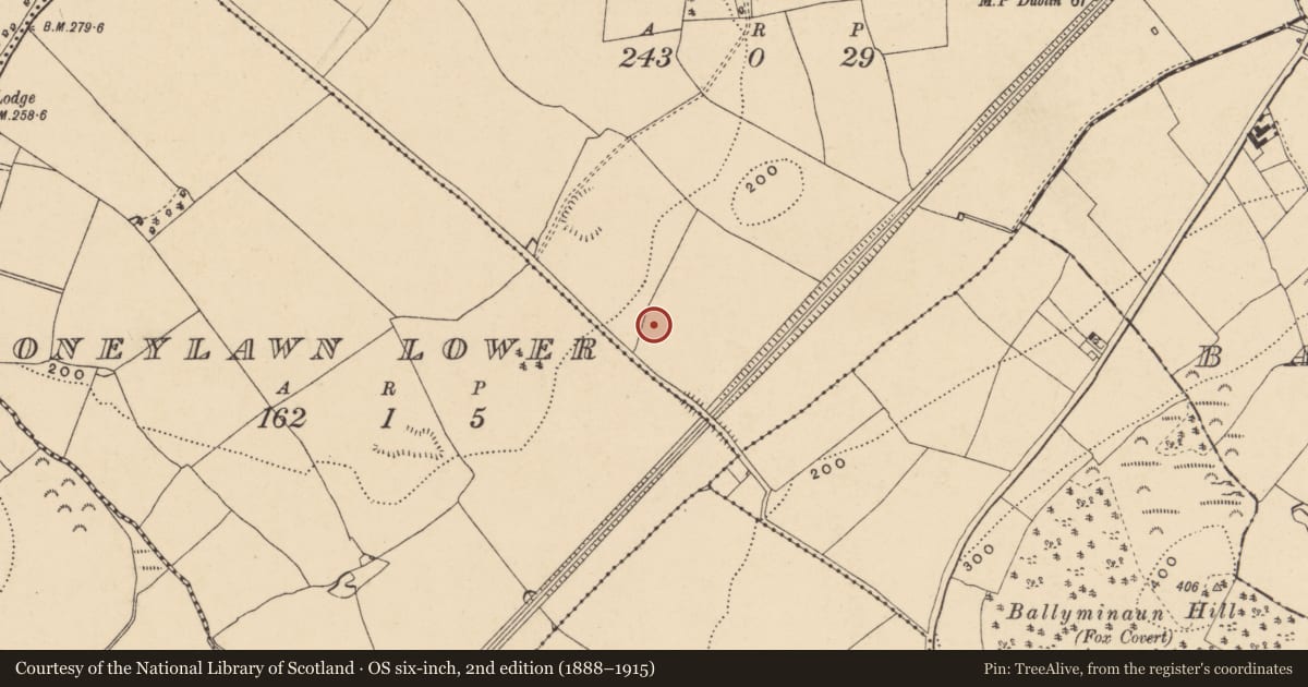 Ordnance Survey six-inch map, 2nd edition (1888–1915) covering the location of Hearth, Coolnastudd, County Wexford, with a pin at the register's coordinates