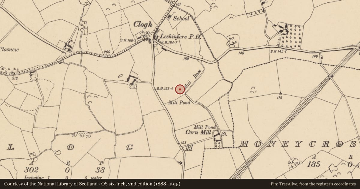 Ordnance Survey six-inch map, 2nd edition (1888–1915) covering the location of Fulacht fia, Clogh, County Wexford, with a pin at the register's coordinates