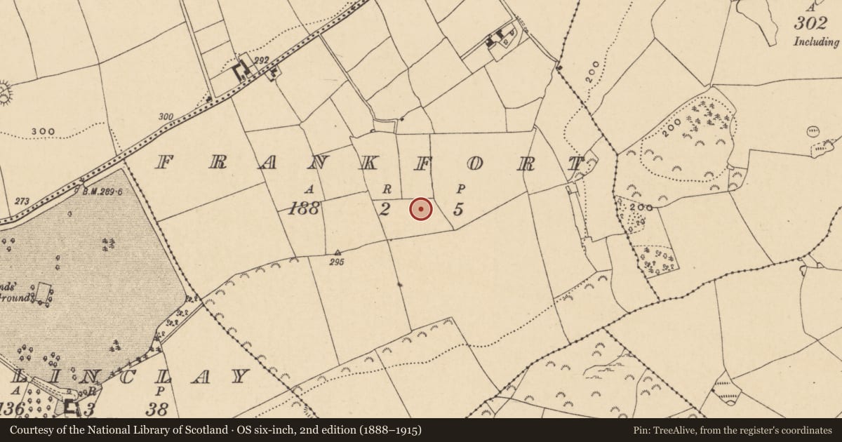 Ordnance Survey six-inch map, 2nd edition (1888–1915) covering the location of Habitation site, Frankfort, County Wexford, with a pin at the register's coordinates