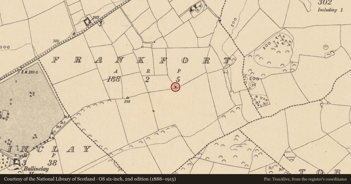 Ordnance Survey six-inch map, 2nd edition (1888–1915) covering the location of Habitation site, Frankfort, County Wexford, with a pin at the register's coordinates