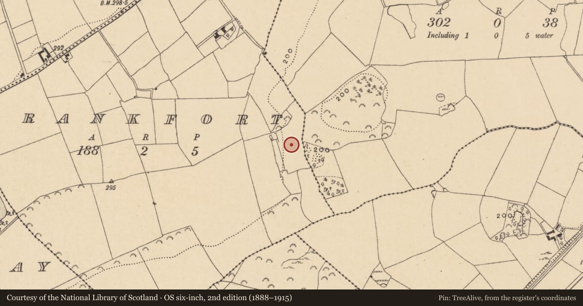 Ordnance Survey six-inch map, 2nd edition (1888–1915) covering the location of Fulacht fia, Frankfort, County Wexford, with a pin at the register's coordinates