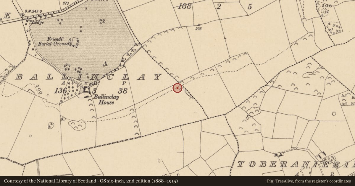 Ordnance Survey six-inch map, 2nd edition (1888–1915) covering the location of Excavation - miscellaneous, Ballinclay, County Wexford, with a pin at the register's coordinates