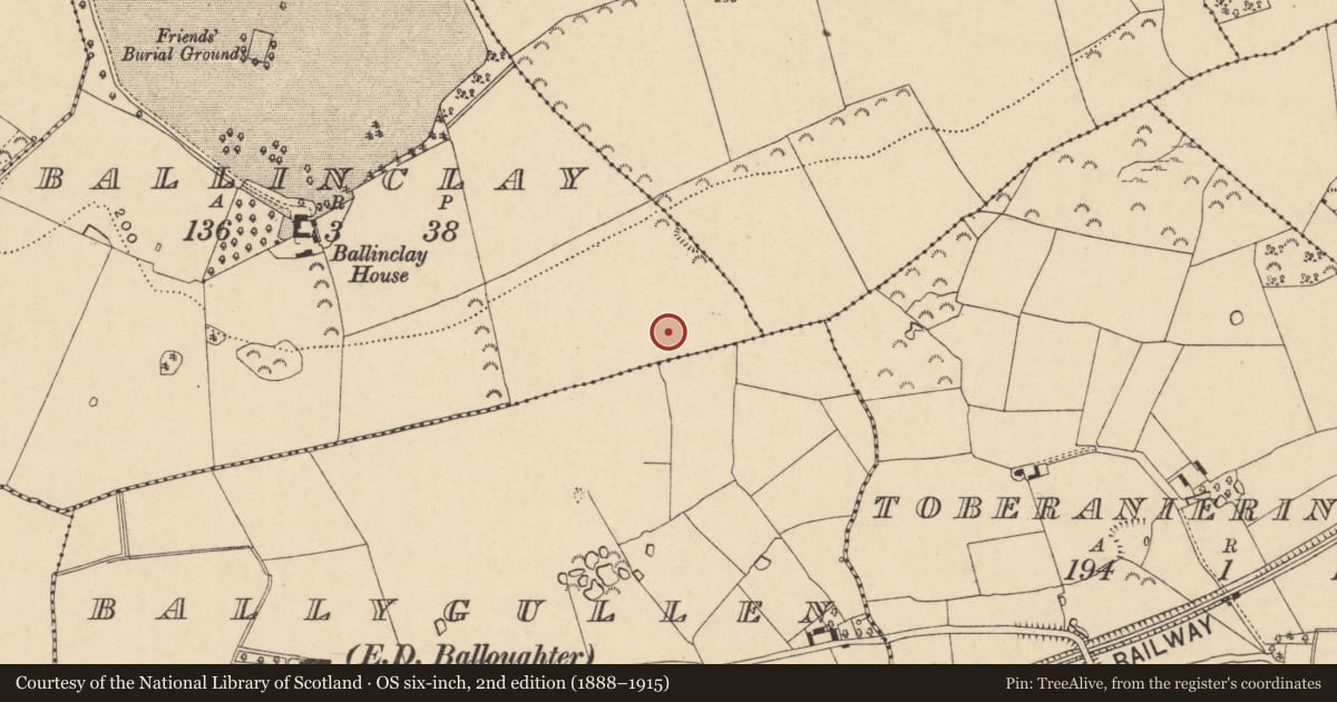 Ordnance Survey six-inch map, 2nd edition (1888–1915) covering the location of Fulacht fia, Ballinclay, County Wexford, with a pin at the register's coordinates