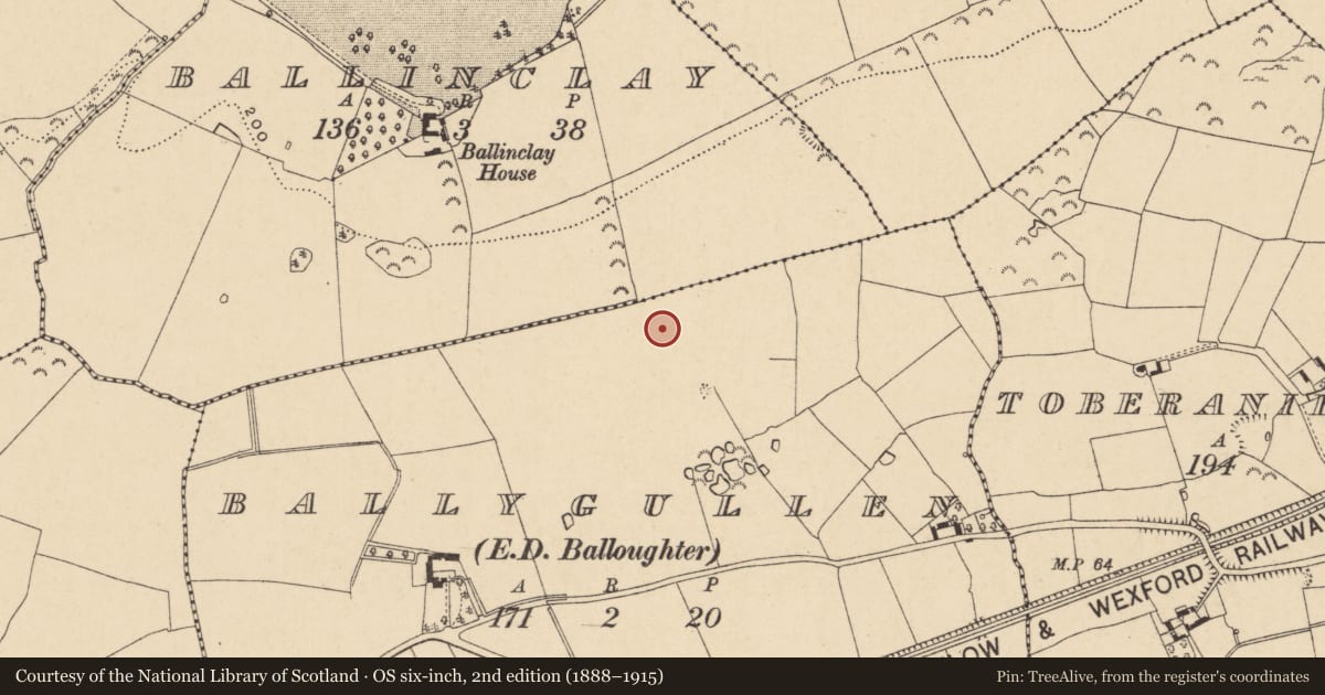 Ordnance Survey six-inch map, 2nd edition (1888–1915) covering the location of Fulacht fia, Ballygullen, County Wexford, with a pin at the register's coordinates