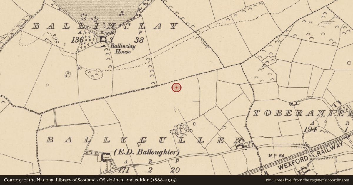 Ordnance Survey six-inch map, 2nd edition (1888–1915) covering the location of Fulacht fia, Ballygullen, County Wexford, with a pin at the register's coordinates