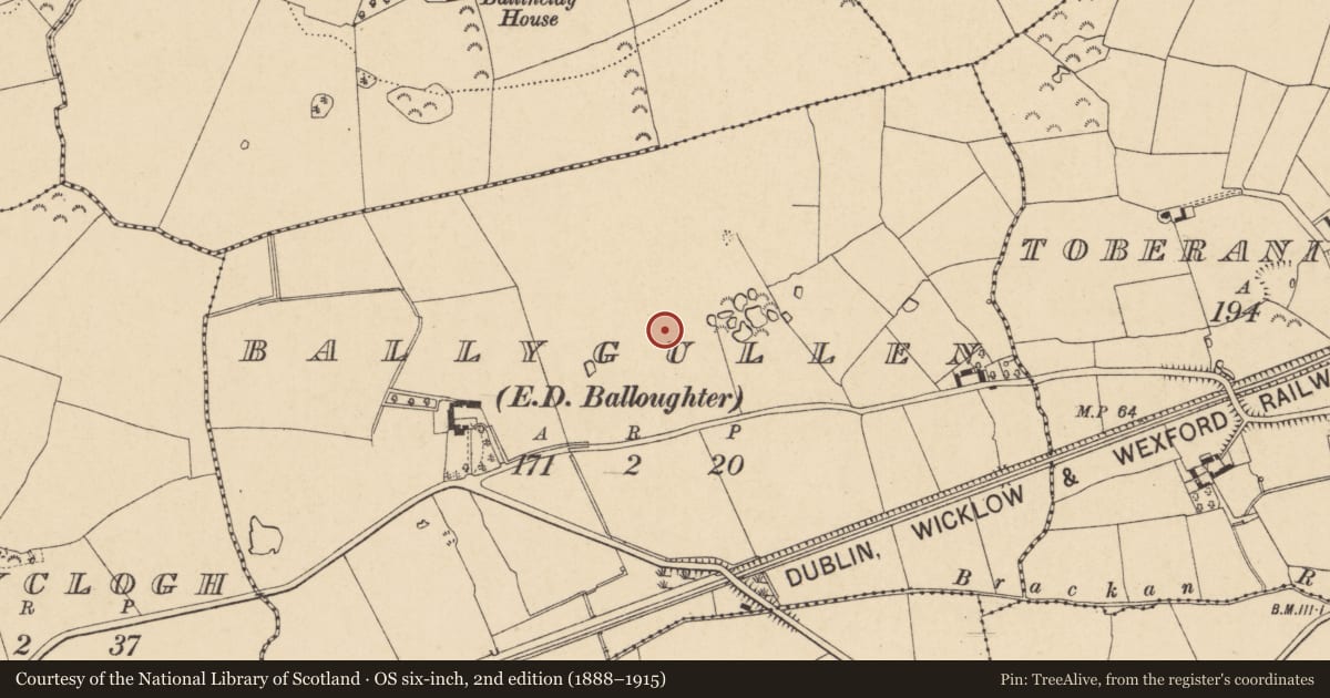 Ordnance Survey six-inch map, 2nd edition (1888–1915) covering the location of Habitation site, Ballygullen, County Wexford, with a pin at the register's coordinates