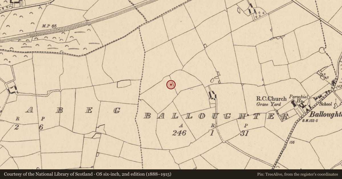 Ordnance Survey six-inch map, 2nd edition (1888–1915) covering the location of Fulacht fia, Balloughter, County Wexford, with a pin at the register's coordinates