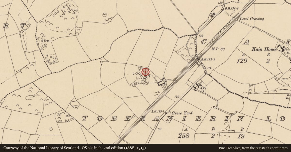 Ordnance Survey six-inch map, 2nd edition (1888–1915) covering the location of Ritual site - holy/saint's stone, Toberanierin Lower, County Wexford, with a pin at the register's coordinates