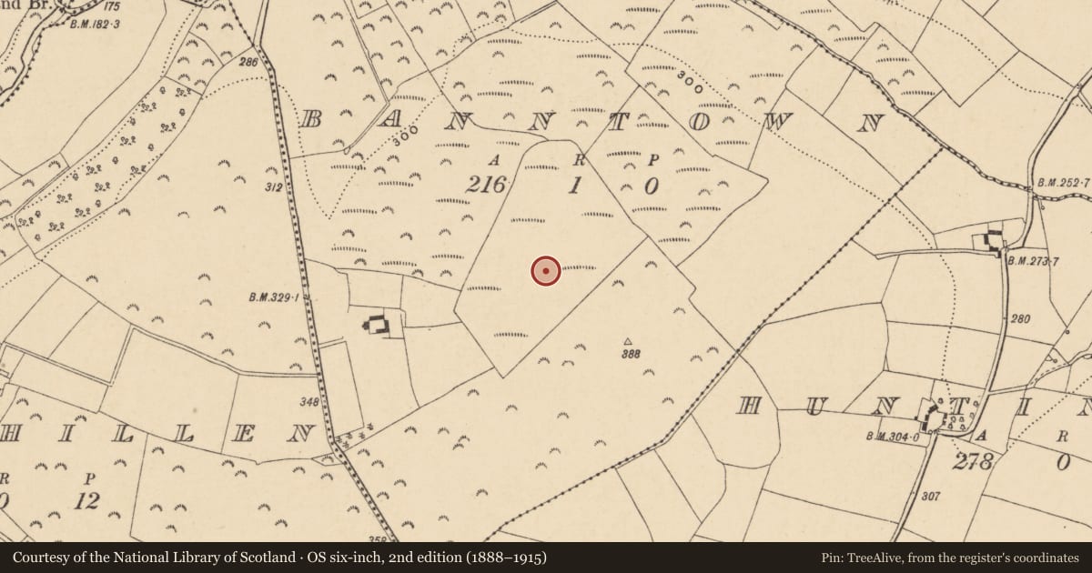 Ordnance Survey six-inch map, 2nd edition (1888–1915) covering the location of Ringfort - rath, Banntown, County Wexford, with a pin at the register's coordinates
