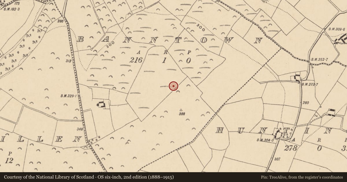Ordnance Survey six-inch map, 2nd edition (1888–1915) covering the location of Ringfort - rath, Banntown, County Wexford, with a pin at the register's coordinates