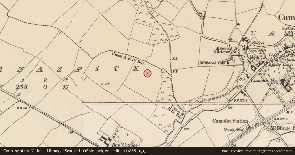 Ordnance Survey six-inch map, 2nd edition (1888–1915) covering the location of Ringfort - rath, Bolinaspick, County Wexford, with a pin at the register's coordinates