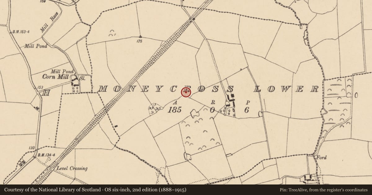 Ordnance Survey six-inch map, 2nd edition (1888–1915) covering the location of Enclosure, Moneycross Lower, County Wexford, with a pin at the register's coordinates