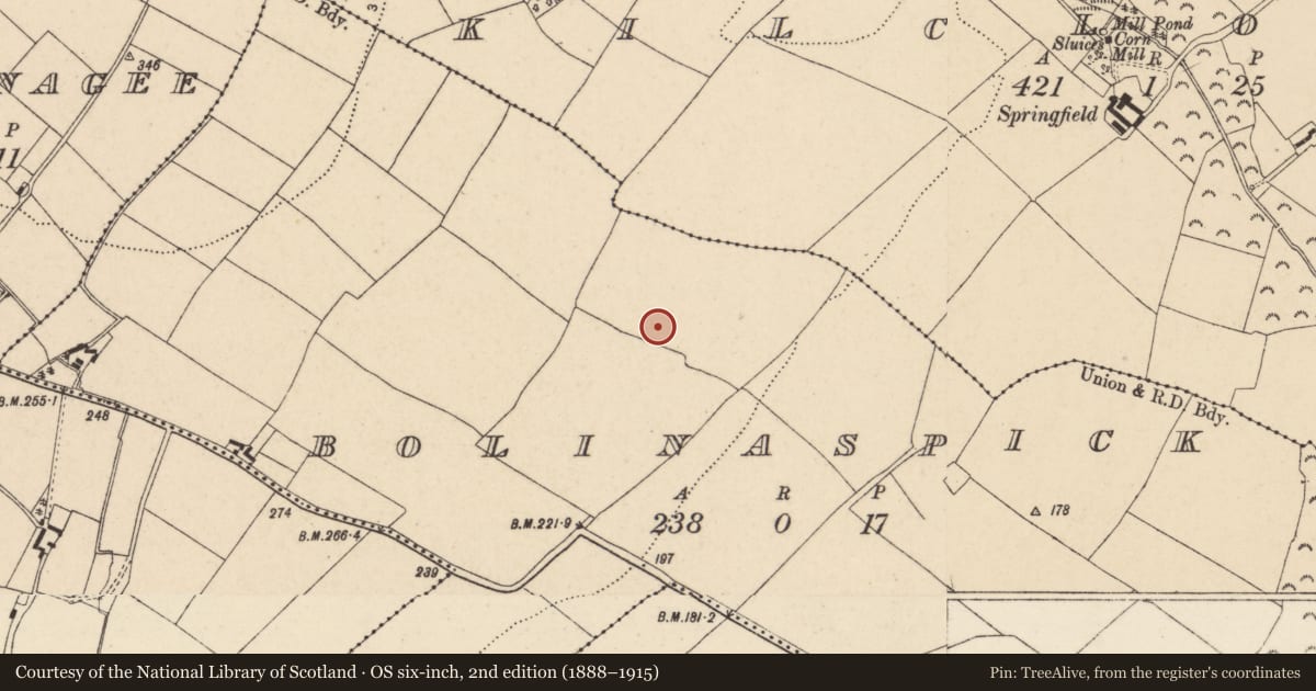 Ordnance Survey six-inch map, 2nd edition (1888–1915) covering the location of Enclosure, Bolinaspick, County Wexford, with a pin at the register's coordinates