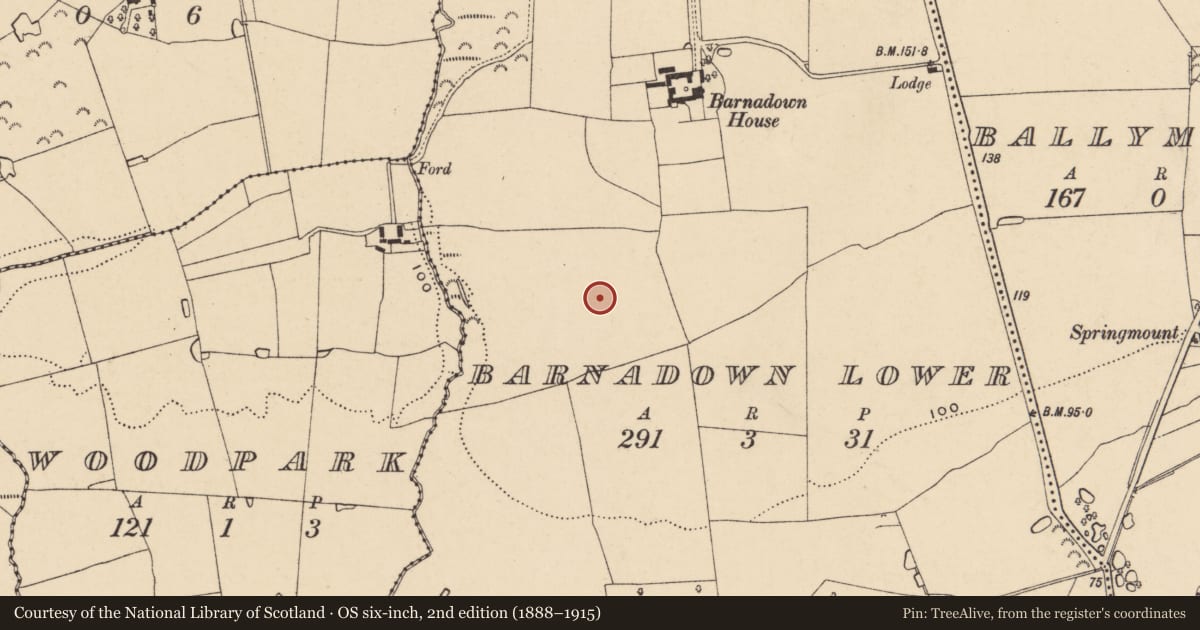 Ordnance Survey six-inch map, 2nd edition (1888–1915) covering the location of Enclosure, Barnadown Lower, County Wexford, with a pin at the register's coordinates