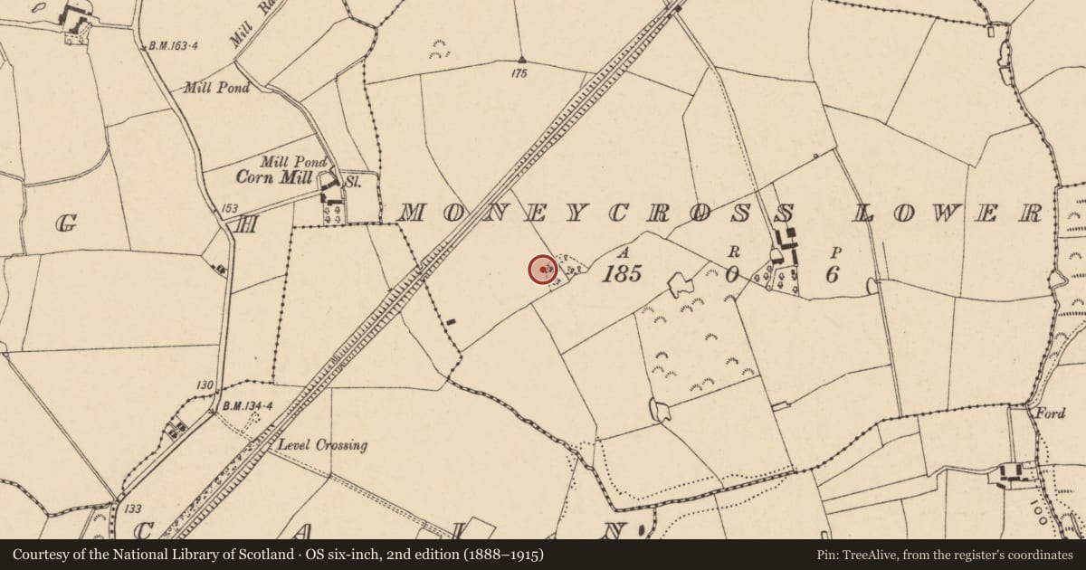 Ordnance Survey six-inch map, 2nd edition (1888–1915) covering the location of Ringfort - rath, Moneycross Lower, County Wexford, with a pin at the register's coordinates