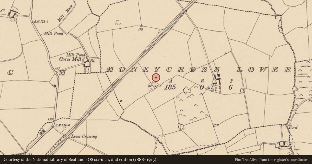 Ordnance Survey six-inch map, 2nd edition (1888–1915) covering the location of Enclosure, Moneycross Lower, County Wexford, with a pin at the register's coordinates