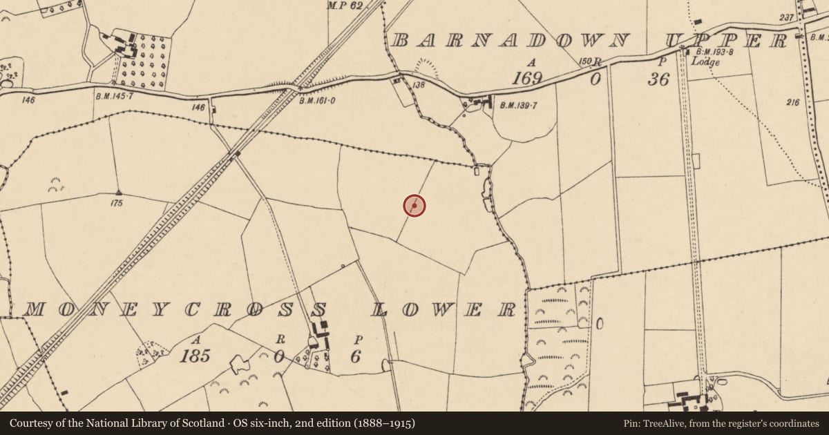 Ordnance Survey six-inch map, 2nd edition (1888–1915) covering the location of Ring-ditch, Moneycross Lower, County Wexford, with a pin at the register's coordinates