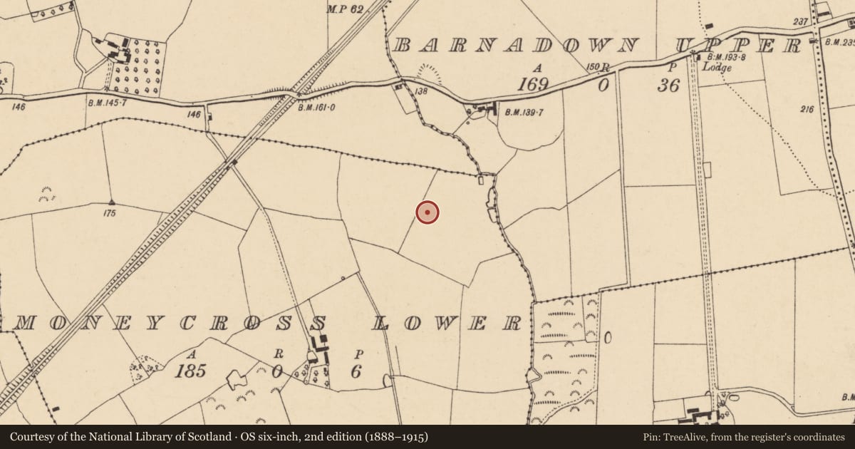 Ordnance Survey six-inch map, 2nd edition (1888–1915) covering the location of Ring-ditch, Moneycross Upper, County Wexford, with a pin at the register's coordinates