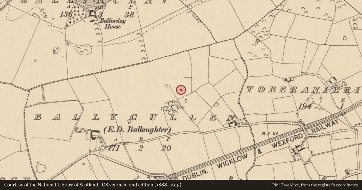 Ordnance Survey six-inch map, 2nd edition (1888–1915) covering the location of Pit, Ballygullen, County Wexford, with a pin at the register's coordinates