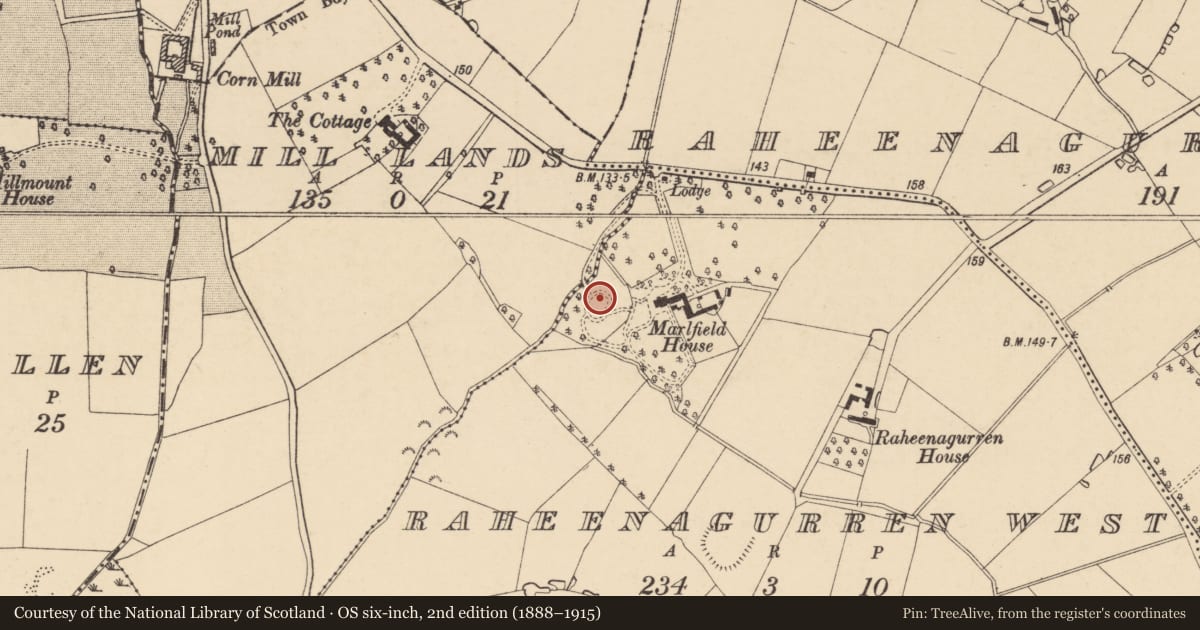 Ordnance Survey six-inch map, 2nd edition (1888–1915) covering the location of Ringfort - rath, Raheenagurren West, County Wexford, with a pin at the register's coordinates