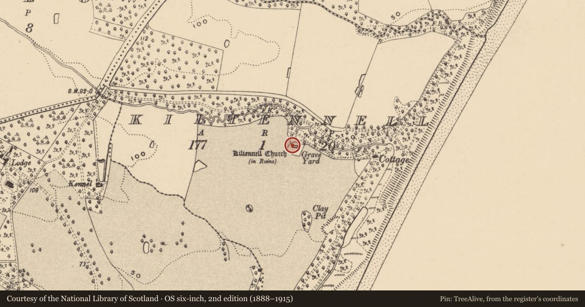Ordnance Survey six-inch map, 2nd edition (1888–1915) covering the location of Church, Kiltennell, County Wexford, with a pin at the register's coordinates