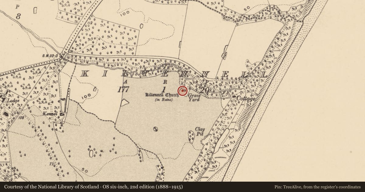 Ordnance Survey six-inch map, 2nd edition (1888–1915) covering the location of Graveyard, Kiltennell, County Wexford, with a pin at the register's coordinates