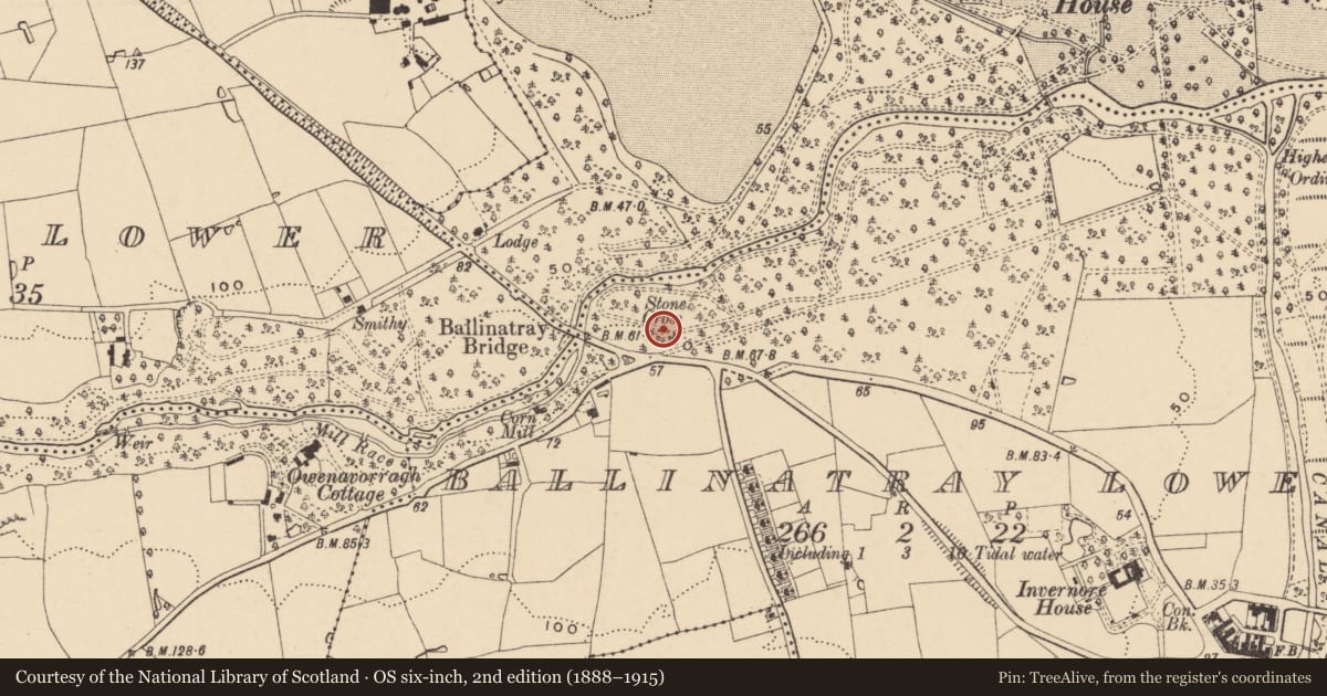 Ordnance Survey six-inch map, 2nd edition (1888–1915) covering the location of Cross - High cross, Ballinatray Lower, County Wexford, with a pin at the register's coordinates