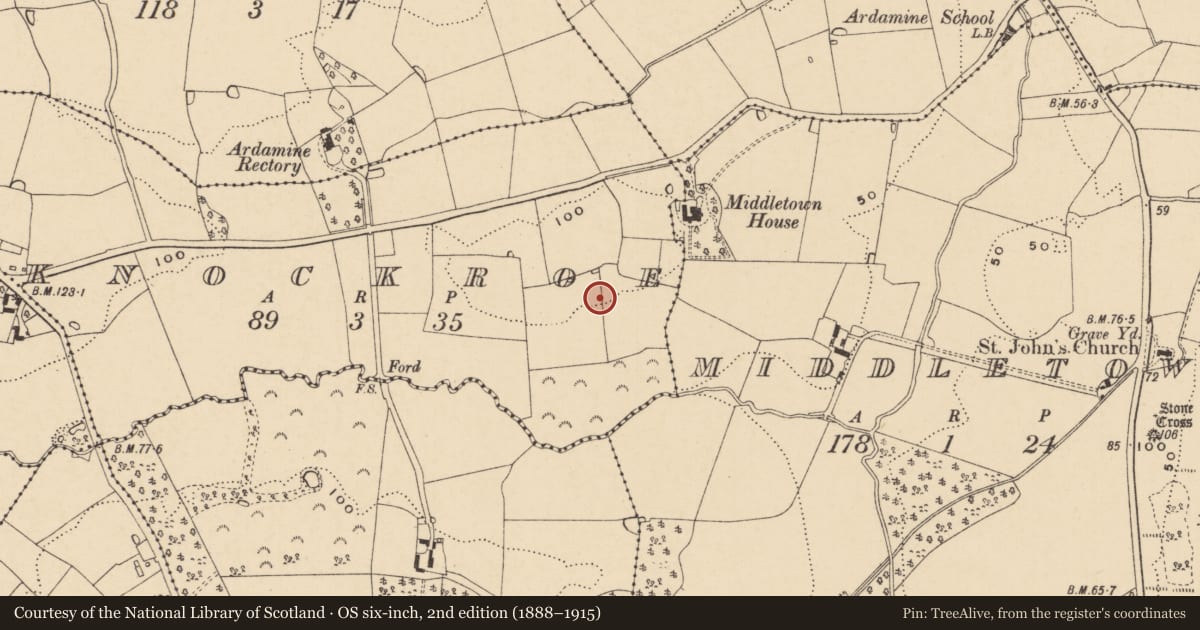 Ordnance Survey six-inch map, 2nd edition (1888–1915) covering the location of Ringfort - unclassified, Knockroe, County Wexford, with a pin at the register's coordinates