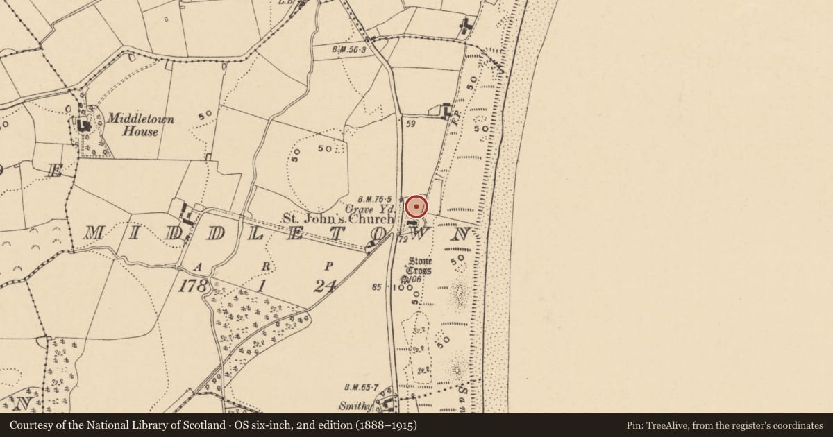 Ordnance Survey six-inch map, 2nd edition (1888–1915) covering the location of Graveyard, Middletown, County Wexford, with a pin at the register's coordinates