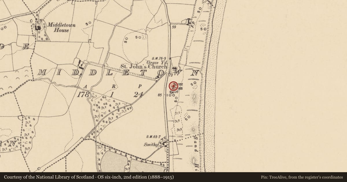 Ordnance Survey six-inch map, 2nd edition (1888–1915) covering the location of Cross - Wayside cross, Middletown, County Wexford, with a pin at the register's coordinates