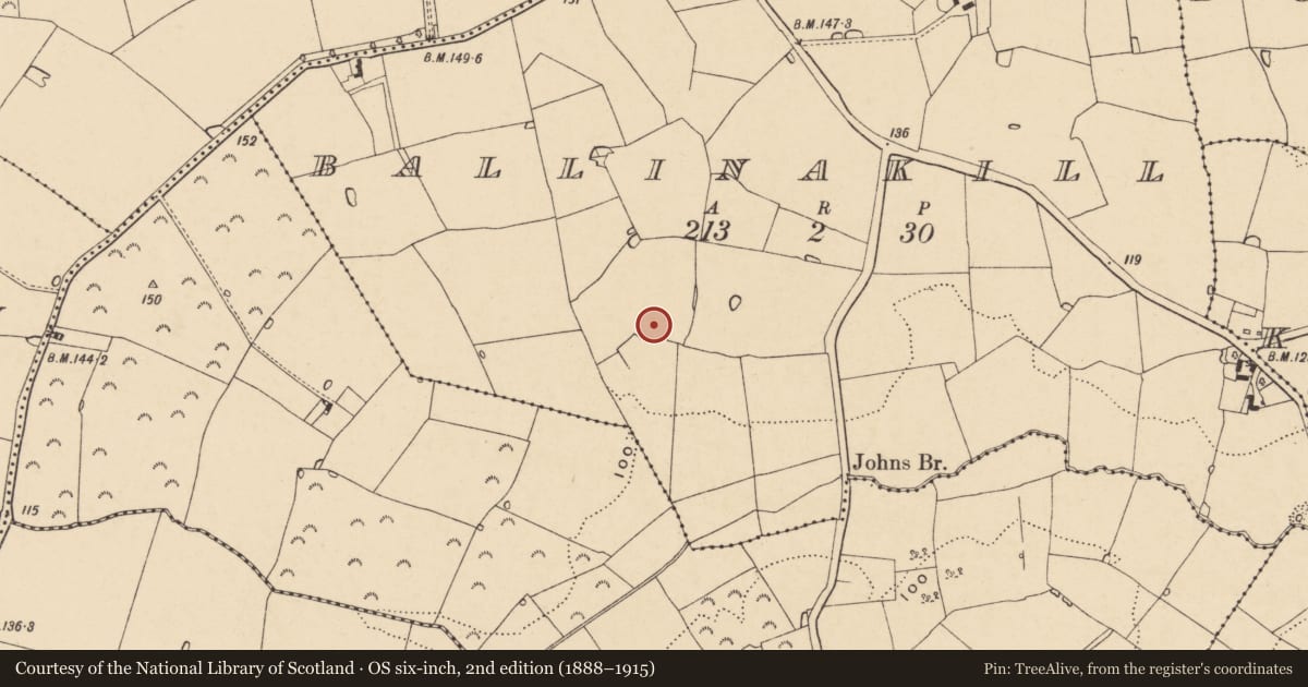 Ordnance Survey six-inch map, 2nd edition (1888–1915) covering the location of Ringfort - rath, Ballinakill, County Wexford, with a pin at the register's coordinates