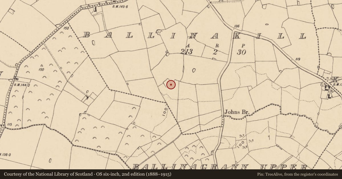 Ordnance Survey six-inch map, 2nd edition (1888–1915) covering the location of Enclosure, Ballinakill, County Wexford, with a pin at the register's coordinates
