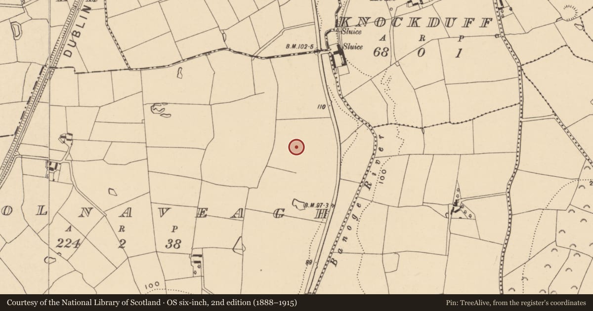 Ordnance Survey six-inch map, 2nd edition (1888–1915) covering the location of Ring-ditch, Coolnaveagh, County Wexford, with a pin at the register's coordinates