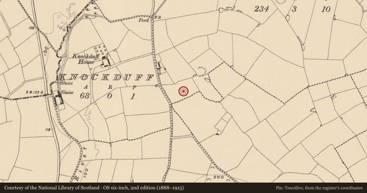 Ordnance Survey six-inch map, 2nd edition (1888–1915) covering the location of Fulacht fia, Raheenagurren West, County Wexford, with a pin at the register's coordinates
