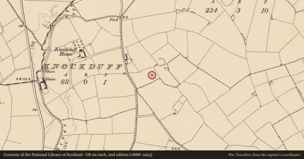 Ordnance Survey six-inch map, 2nd edition (1888–1915) covering the location of Fulacht fia, Raheenagurren West, County Wexford, with a pin at the register's coordinates