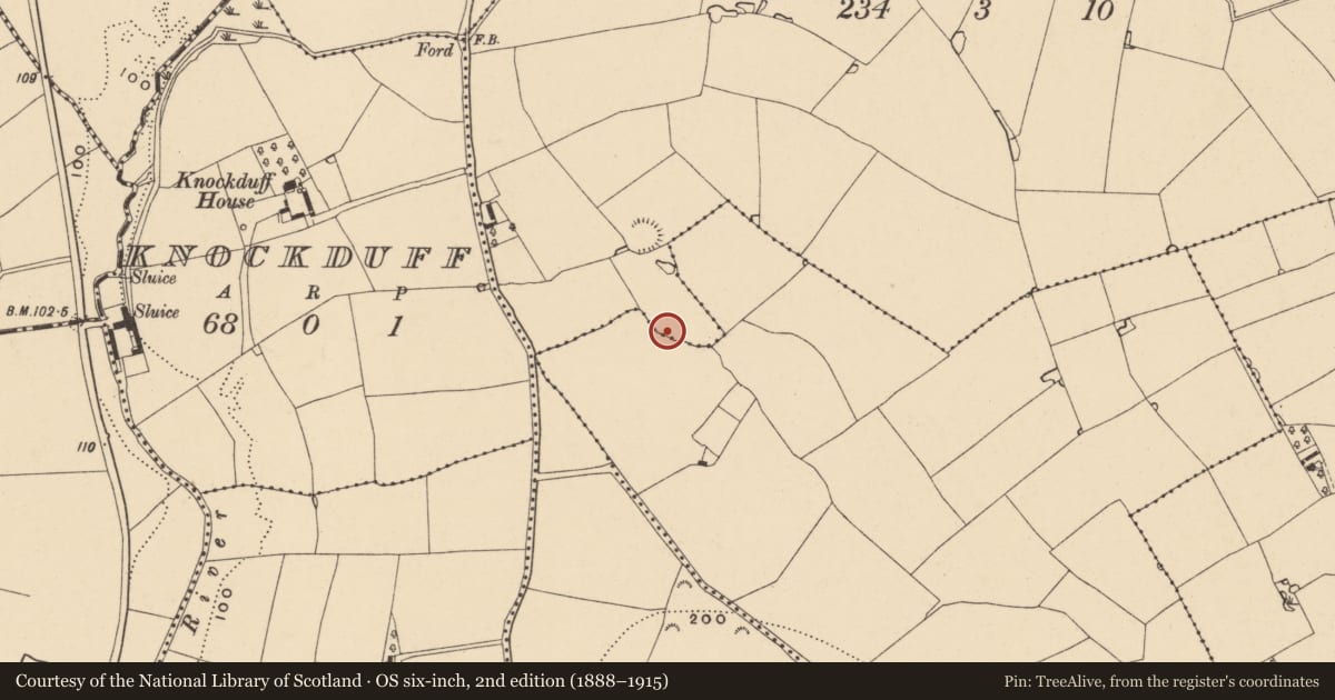 Ordnance Survey six-inch map, 2nd edition (1888–1915) covering the location of Fulacht fia, Raheenagurren West, County Wexford, with a pin at the register's coordinates