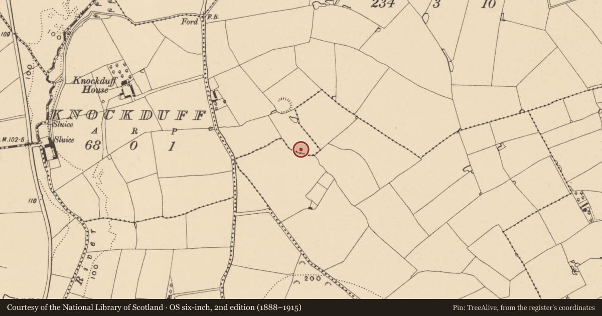 Ordnance Survey six-inch map, 2nd edition (1888–1915) covering the location of Fulacht fia, Raheenagurren West, County Wexford, with a pin at the register's coordinates