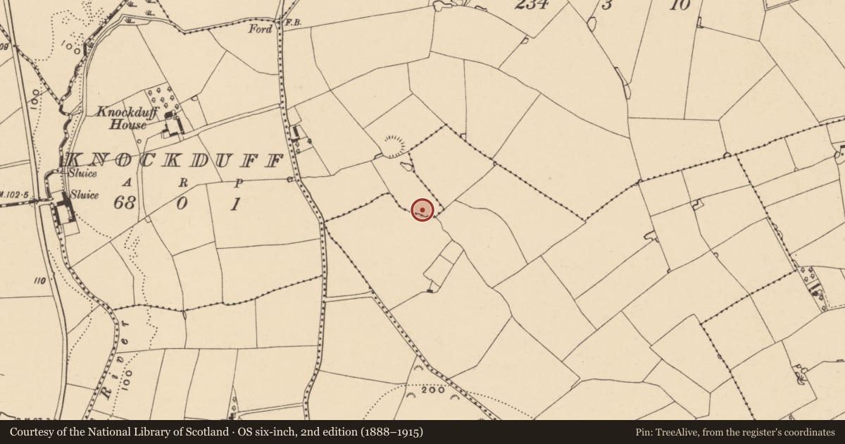 Ordnance Survey six-inch map, 2nd edition (1888–1915) covering the location of Fulacht fia, Raheenagurren West, County Wexford, with a pin at the register's coordinates