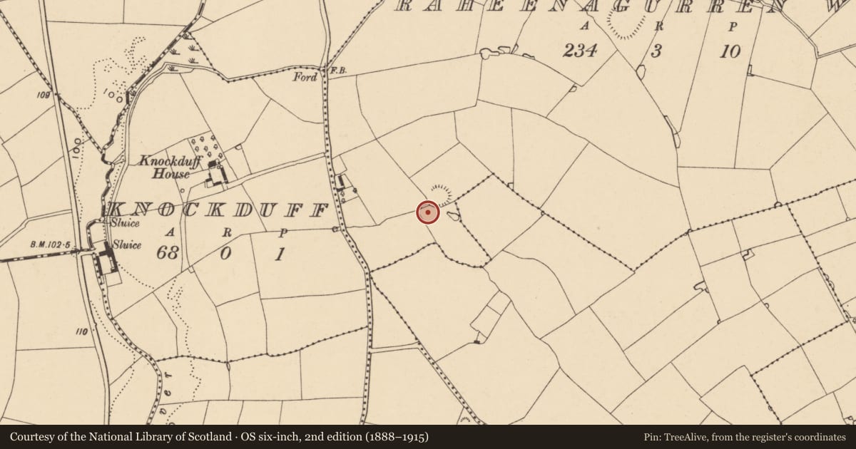 Ordnance Survey six-inch map, 2nd edition (1888–1915) covering the location of Burnt mound, Raheenagurren West, County Wexford, with a pin at the register's coordinates