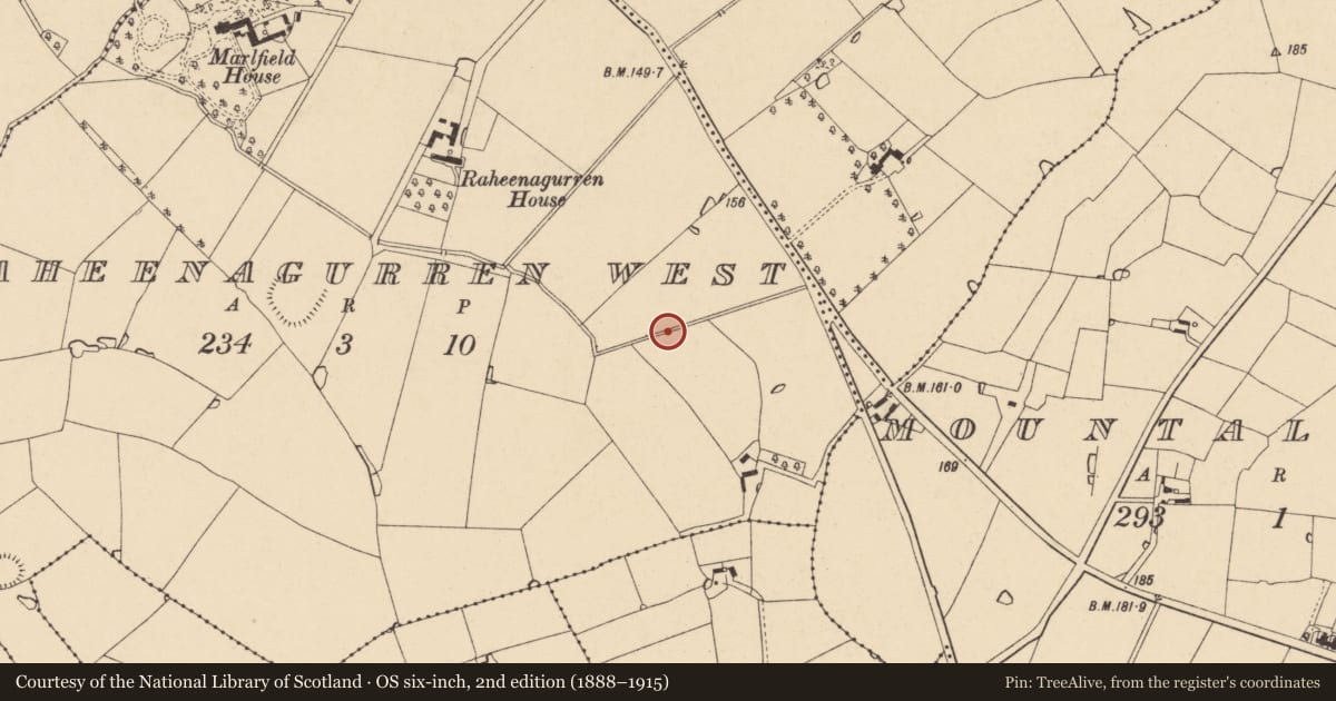 Ordnance Survey six-inch map, 2nd edition (1888–1915) covering the location of Excavation - miscellaneous, Raheenagurren West, County Wexford, with a pin at the register's coordinates