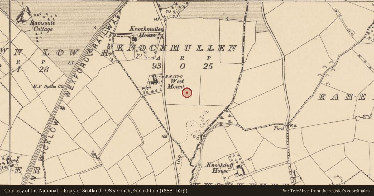 Ordnance Survey six-inch map, 2nd edition (1888–1915) covering the location of Concentric enclosure, Knockmullen, County Wexford, with a pin at the register's coordinates
