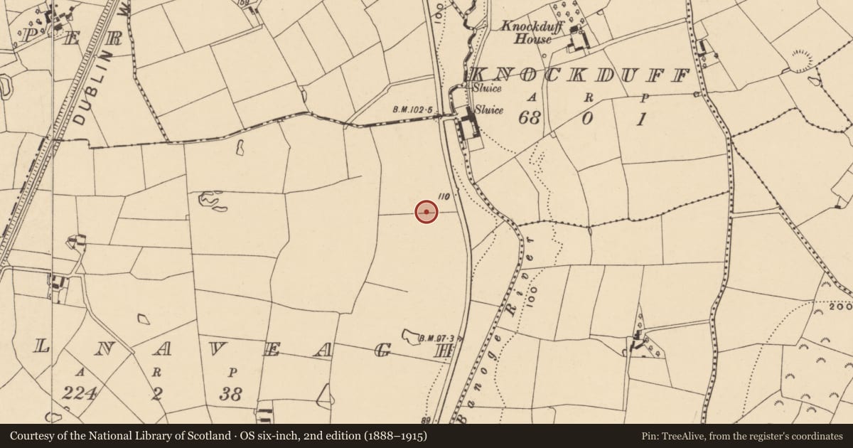Ordnance Survey six-inch map, 2nd edition (1888–1915) covering the location of Enclosure, Coolnaveagh, County Wexford, with a pin at the register's coordinates