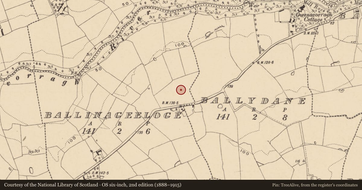 Ordnance Survey six-inch map, 2nd edition (1888–1915) covering the location of Enclosure, Ballinageeloge, County Wexford, with a pin at the register's coordinates